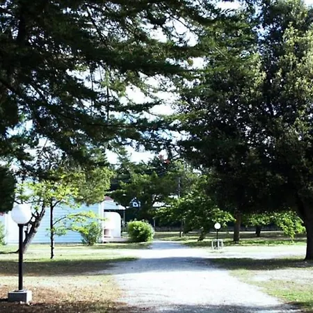 Avec Piscine à 300m De La * Les Sables Vignier